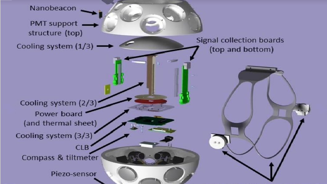 Detector Setup and Components